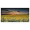 Designart - Sunflower Sunset with Cloudy Sky - Large Landscape Canvas Art